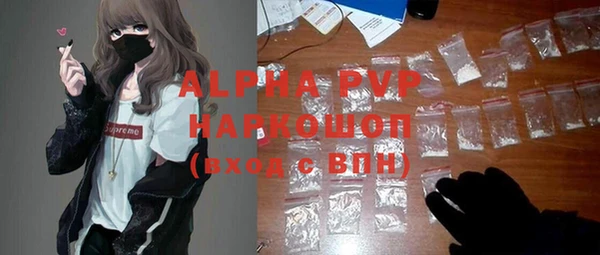 сатива Вяземский