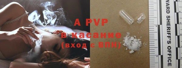 сатива Вяземский