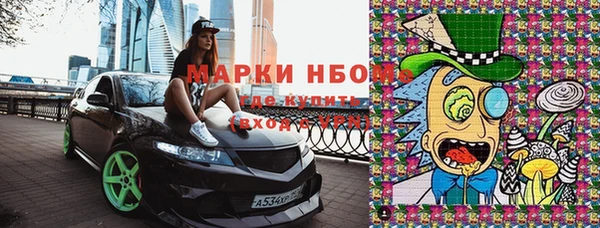 сатива Вяземский