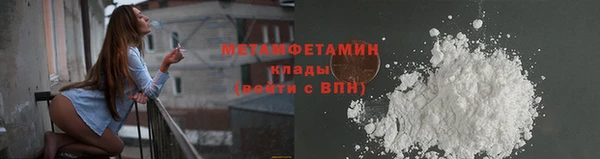 сатива Вяземский