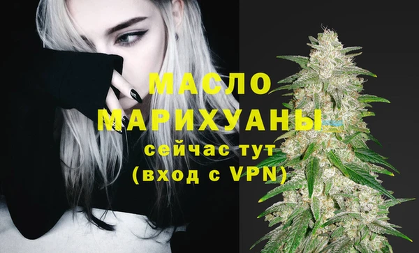 сатива Вяземский