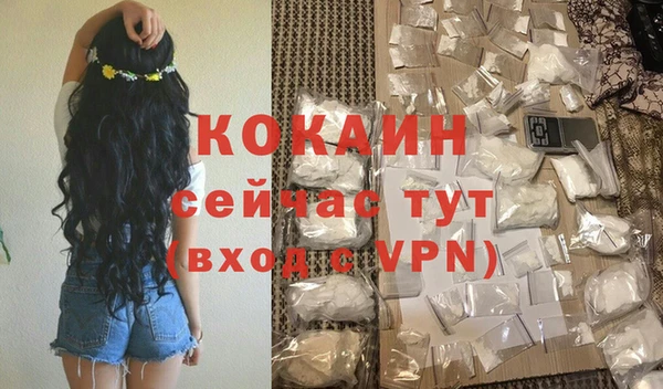 сатива Вяземский