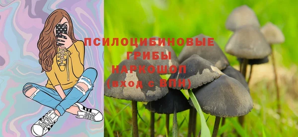 сатива Вяземский