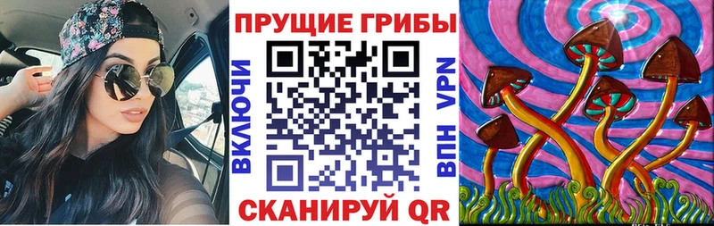 Псилоцибиновые грибы Magic Shrooms  Купить закладки  Курчатов 
